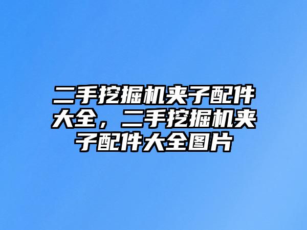 二手挖掘機(jī)夾子配件大全，二手挖掘機(jī)夾子配件大全圖片