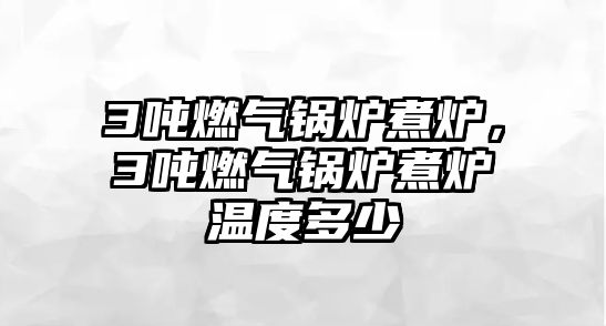 3噸燃?xì)忮仩t煮爐，3噸燃?xì)忮仩t煮爐溫度多少