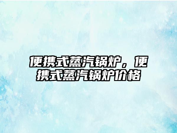 便攜式蒸汽鍋爐，便攜式蒸汽鍋爐價格