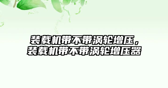 裝載機帶不帶渦輪增壓，裝載機帶不帶渦輪增壓器