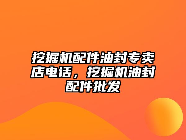 挖掘機配件油封專賣店電話，挖掘機油封配件批發(fā)