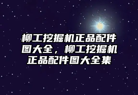 柳工挖掘機(jī)正品配件圖大全，柳工挖掘機(jī)正品配件圖大全集