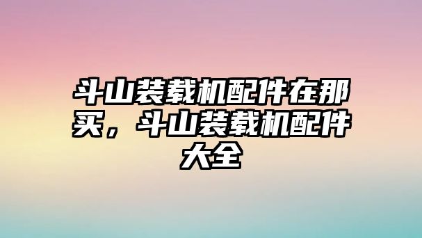 斗山裝載機配件在那買，斗山裝載機配件大全