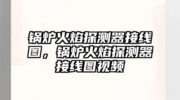 鍋爐火焰探測(cè)器接線圖，鍋爐火焰探測(cè)器接線圖視頻