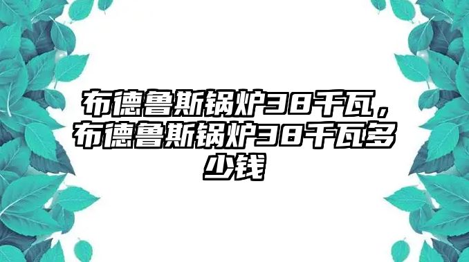 布德魯斯鍋爐38千瓦，布德魯斯鍋爐38千瓦多少錢