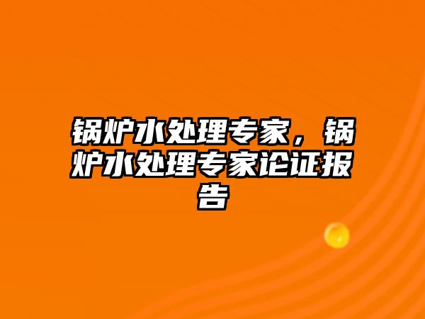 鍋爐水處理專家，鍋爐水處理專家論證報告