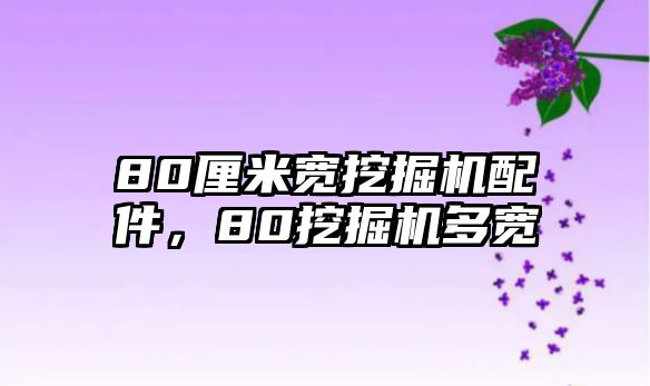 80厘米寬挖掘機(jī)配件，80挖掘機(jī)多寬