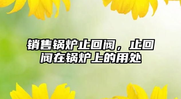 銷售鍋爐止回閥，止回閥在鍋爐上的用處