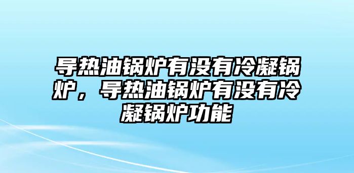 導(dǎo)熱油鍋爐有沒有冷凝鍋爐，導(dǎo)熱油鍋爐有沒有冷凝鍋爐功能