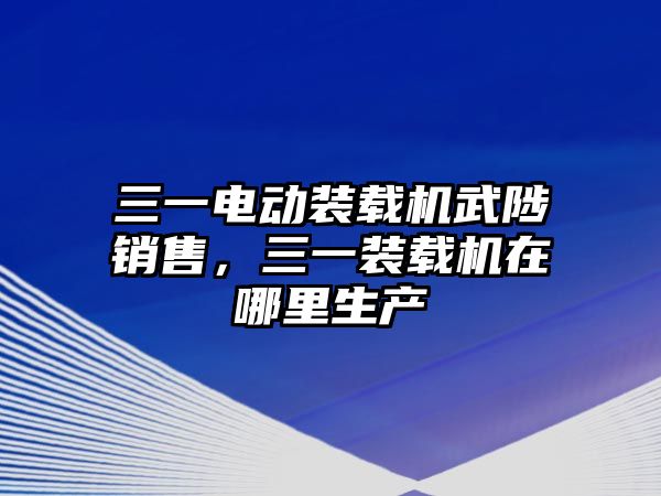 三一電動裝載機武陟銷售，三一裝載機在哪里生產(chǎn)