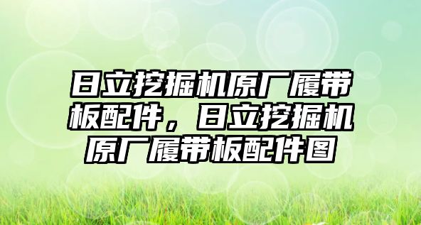 日立挖掘機(jī)原廠履帶板配件，日立挖掘機(jī)原廠履帶板配件圖