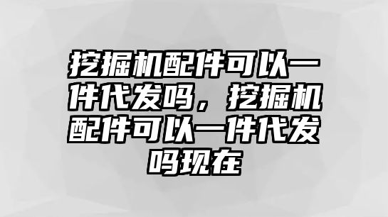 挖掘機(jī)配件可以一件代發(fā)嗎，挖掘機(jī)配件可以一件代發(fā)嗎現(xiàn)在