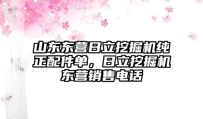 山東東營日立挖掘機(jī)純正配件單，日立挖掘機(jī)東營銷售電話