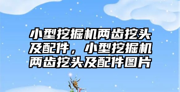 小型挖掘機(jī)兩齒挖頭及配件，小型挖掘機(jī)兩齒挖頭及配件圖片