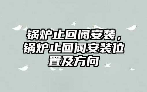 鍋爐止回閥安裝，鍋爐止回閥安裝位置及方向