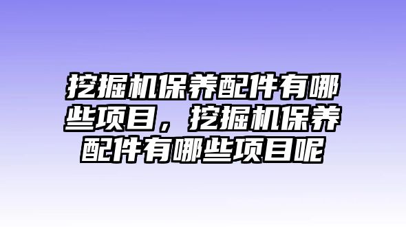 挖掘機(jī)保養(yǎng)配件有哪些項(xiàng)目，挖掘機(jī)保養(yǎng)配件有哪些項(xiàng)目呢