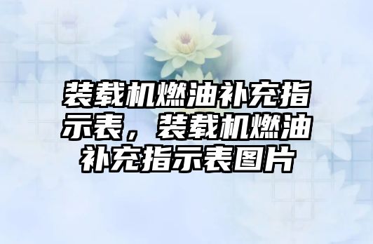 裝載機(jī)燃油補(bǔ)充指示表，裝載機(jī)燃油補(bǔ)充指示表圖片