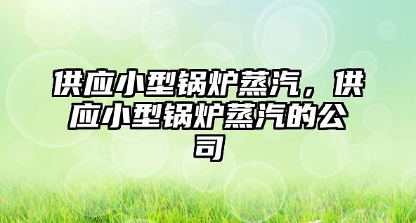 供應(yīng)小型鍋爐蒸汽，供應(yīng)小型鍋爐蒸汽的公司