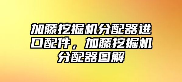 加藤挖掘機分配器進口配件，加藤挖掘機分配器圖解