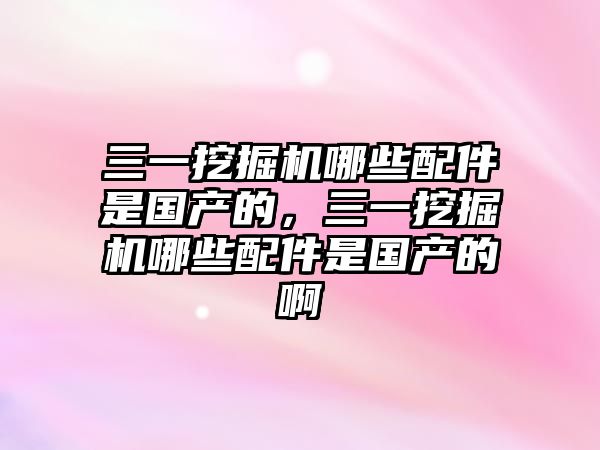 三一挖掘機哪些配件是國產的，三一挖掘機哪些配件是國產的啊