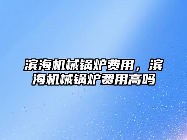 濱海機械鍋爐費用，濱海機械鍋爐費用高嗎