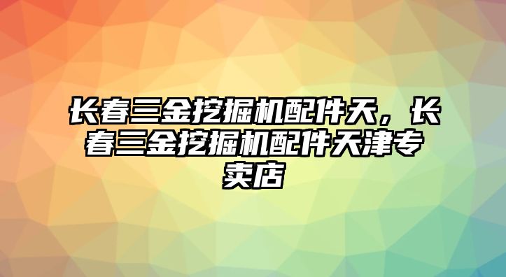 長春三金挖掘機(jī)配件天，長春三金挖掘機(jī)配件天津?qū)Ｙu店