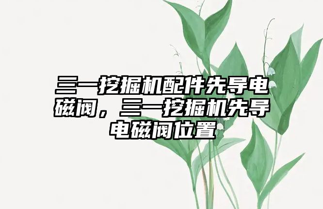 三一挖掘機配件先導電磁閥，三一挖掘機先導電磁閥位置