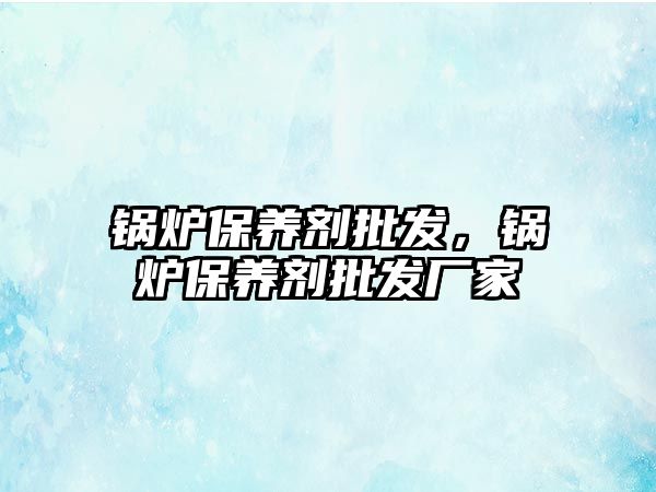 鍋爐保養(yǎng)劑批發(fā)，鍋爐保養(yǎng)劑批發(fā)廠家