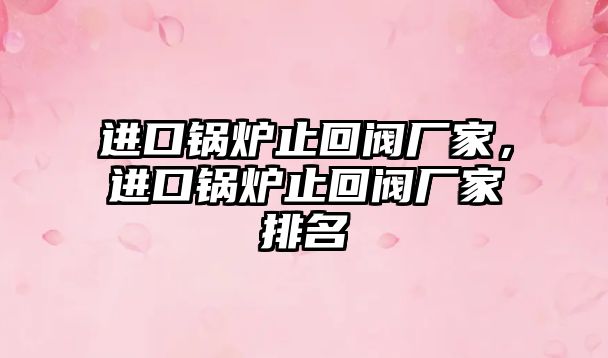 進口鍋爐止回閥廠家，進口鍋爐止回閥廠家排名