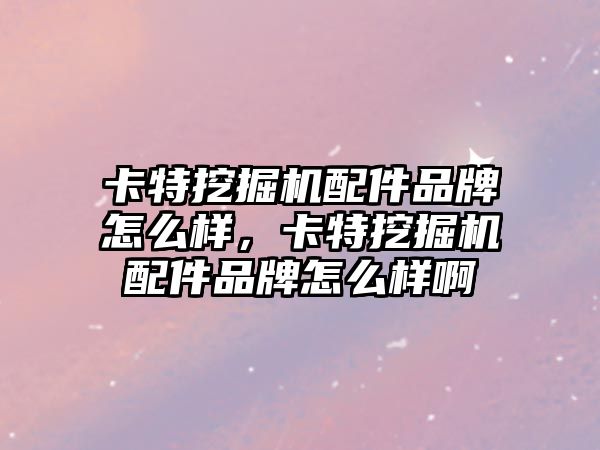 卡特挖掘機配件品牌怎么樣，卡特挖掘機配件品牌怎么樣啊