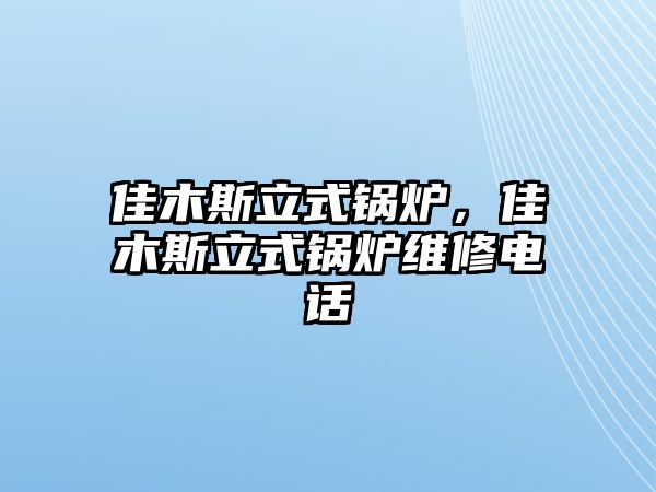 佳木斯立式鍋爐，佳木斯立式鍋爐維修電話