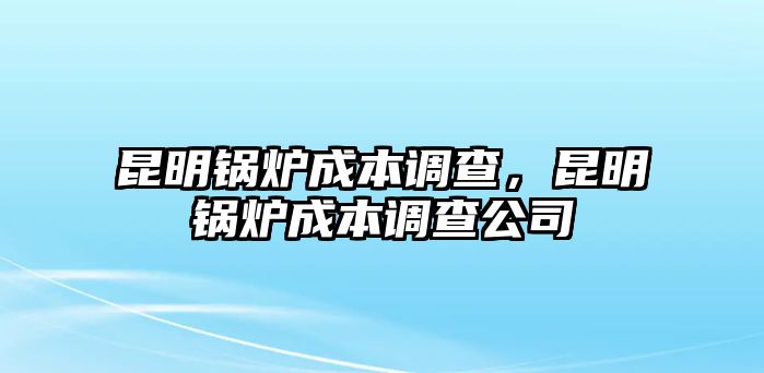 昆明鍋爐成本調(diào)查，昆明鍋爐成本調(diào)查公司