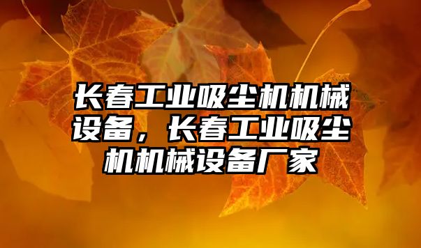 長春工業(yè)吸塵機機械設備，長春工業(yè)吸塵機機械設備廠家