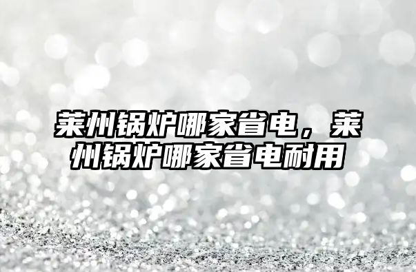 萊州鍋爐哪家省電，萊州鍋爐哪家省電耐用