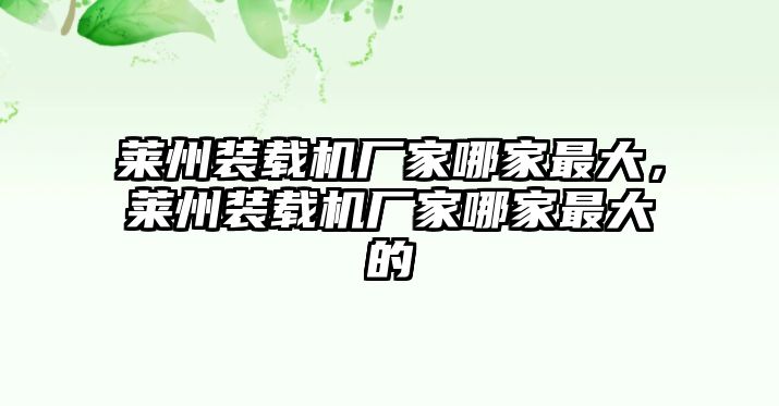 萊州裝載機廠家哪家最大，萊州裝載機廠家哪家最大的