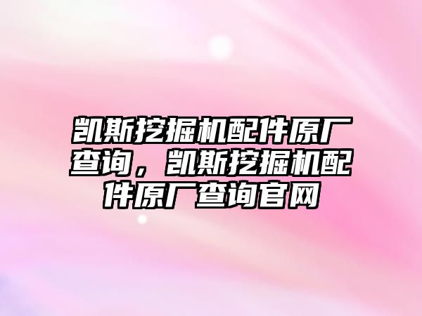 凱斯挖掘機配件原廠查詢，凱斯挖掘機配件原廠查詢官網(wǎng)