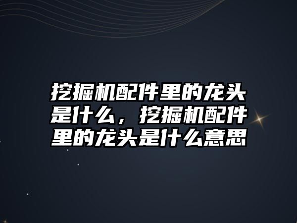 挖掘機(jī)配件里的龍頭是什么，挖掘機(jī)配件里的龍頭是什么意思