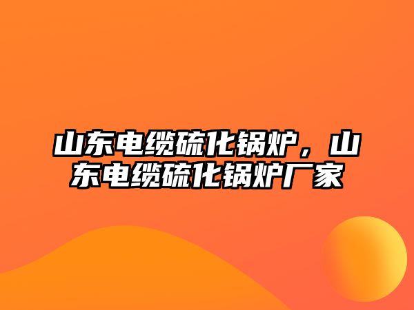 山東電纜硫化鍋爐，山東電纜硫化鍋爐廠家