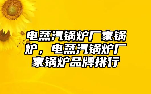 電蒸汽鍋爐廠家鍋爐，電蒸汽鍋爐廠家鍋爐品牌排行