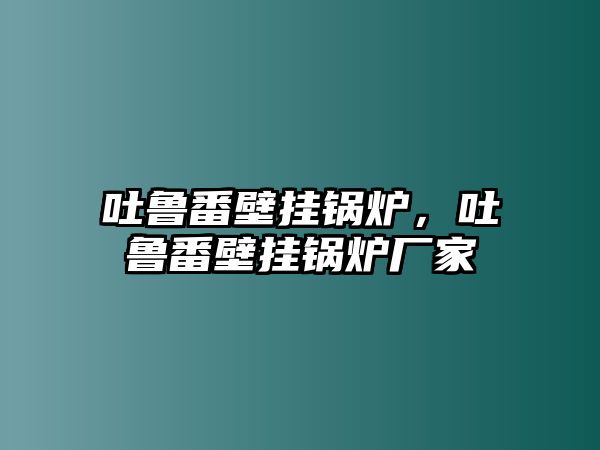 吐魯番壁掛鍋爐，吐魯番壁掛鍋爐廠家