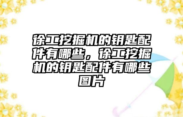 徐工挖掘機的鑰匙配件有哪些，徐工挖掘機的鑰匙配件有哪些圖片