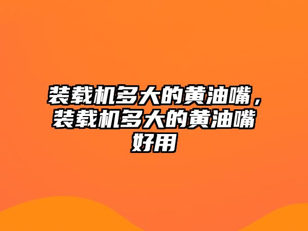 裝載機多大的黃油嘴，裝載機多大的黃油嘴好用