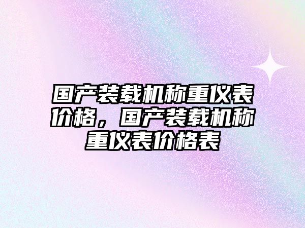 國產(chǎn)裝載機稱重儀表價格，國產(chǎn)裝載機稱重儀表價格表