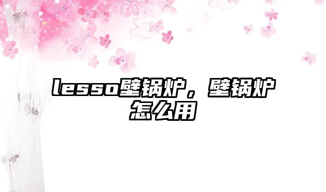 lesso壁鍋爐，壁鍋爐怎么用