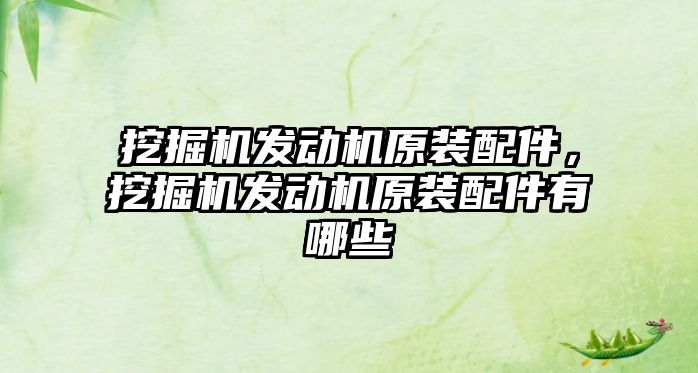 挖掘機發(fā)動機原裝配件，挖掘機發(fā)動機原裝配件有哪些