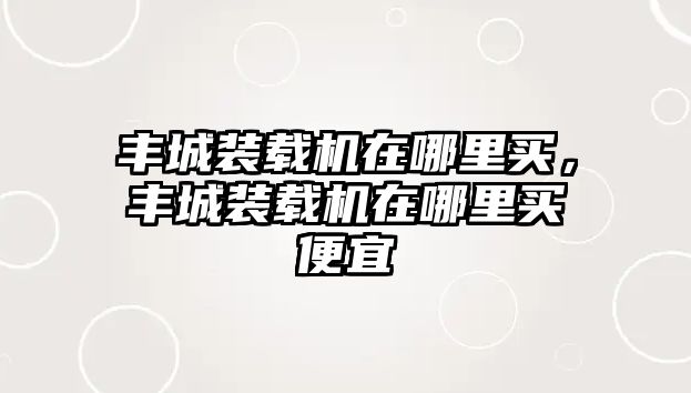 豐城裝載機在哪里買，豐城裝載機在哪里買便宜