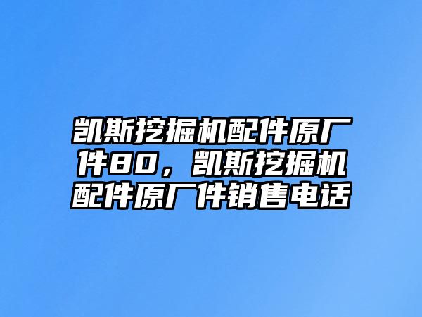 凱斯挖掘機配件原廠件80，凱斯挖掘機配件原廠件銷售電話