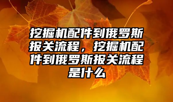 挖掘機配件到俄羅斯報關流程，挖掘機配件到俄羅斯報關流程是什么