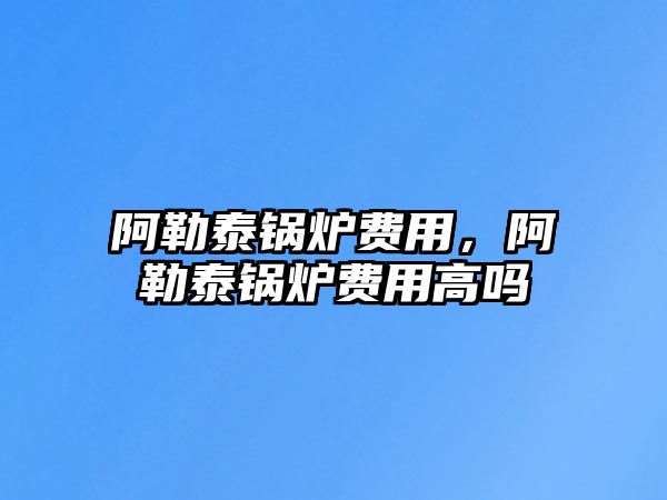 阿勒泰鍋爐費用，阿勒泰鍋爐費用高嗎