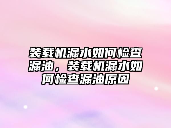 裝載機漏水如何檢查漏油，裝載機漏水如何檢查漏油原因